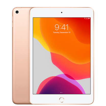 iPad Mini  5th Gen 2019